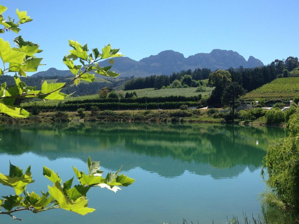 Fynbos Feniks Apartment Stellenbosch Buitenkant foto
